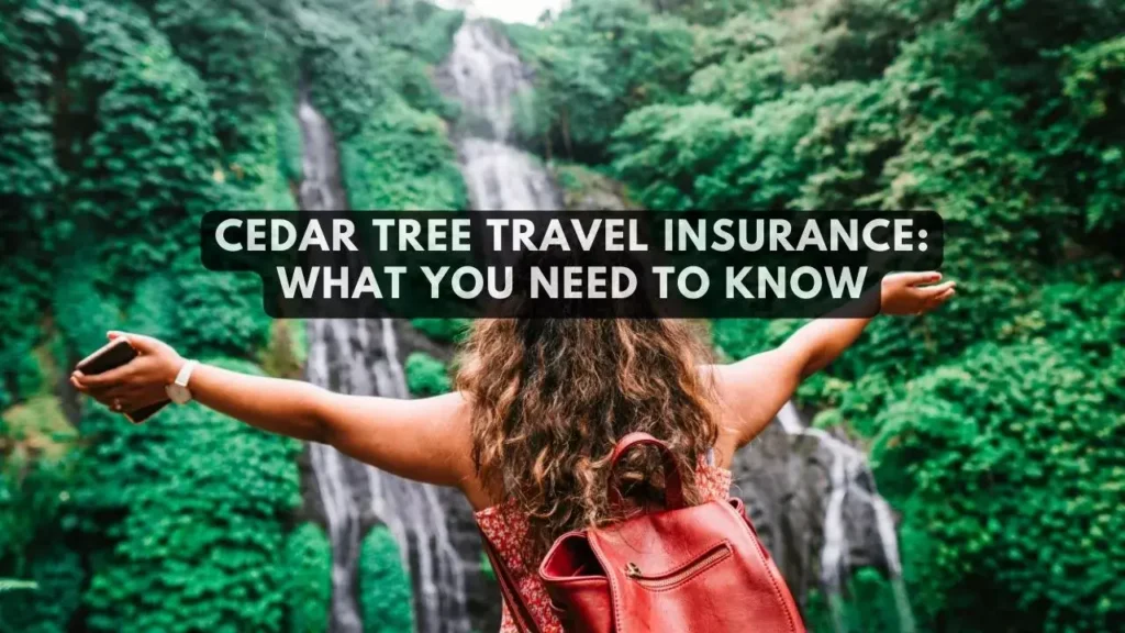 Looking For A Best Travel Insurance Company? Here Are The Top Reviews Of Cedar Tree Travel Insurance In UK